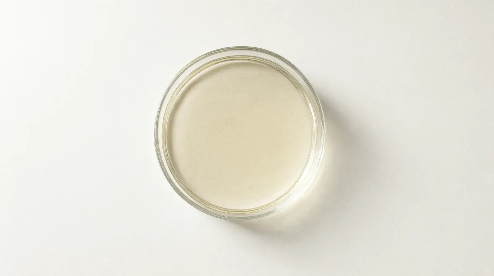 Acetex Plus — specimen photograph