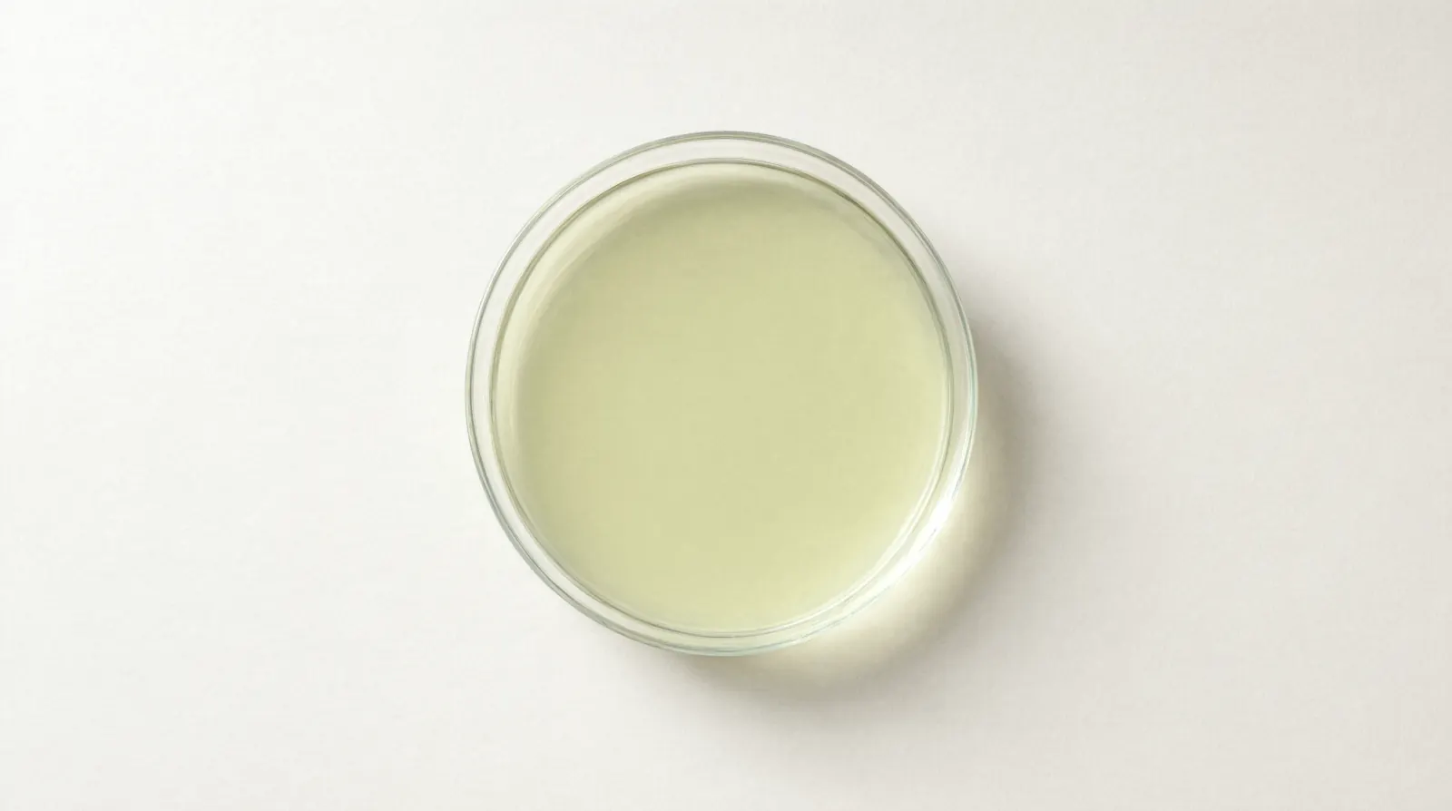 Sodium Hypochlorite — specimen photograph